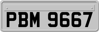 PBM9667