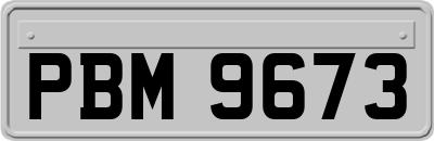 PBM9673