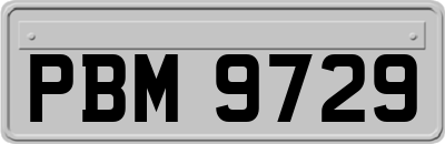 PBM9729