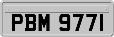 PBM9771