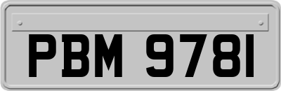 PBM9781