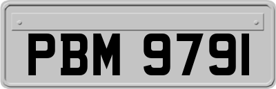 PBM9791