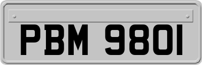 PBM9801