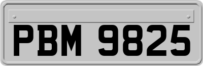 PBM9825