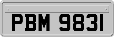 PBM9831