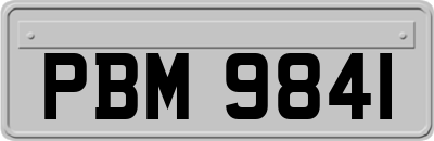 PBM9841