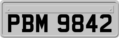 PBM9842