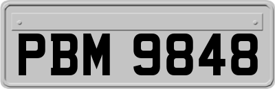 PBM9848