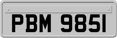 PBM9851