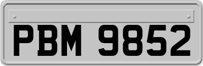 PBM9852