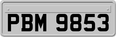 PBM9853