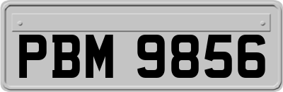 PBM9856