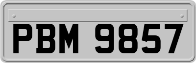 PBM9857