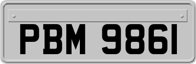 PBM9861