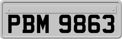 PBM9863