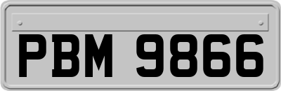 PBM9866