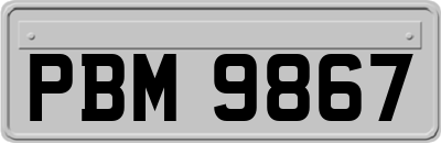 PBM9867