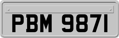 PBM9871