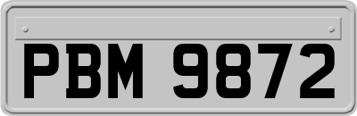 PBM9872