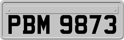 PBM9873