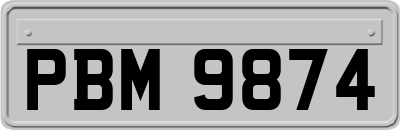 PBM9874