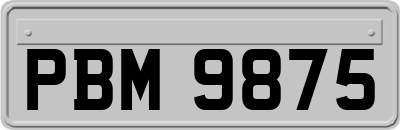 PBM9875