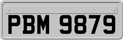 PBM9879