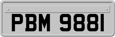 PBM9881