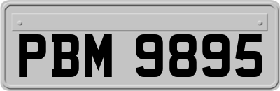 PBM9895