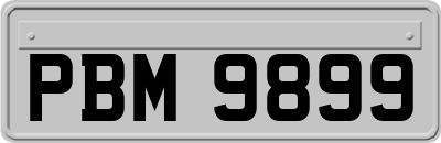 PBM9899