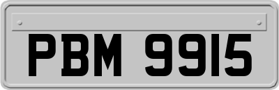 PBM9915