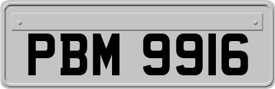 PBM9916