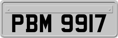 PBM9917