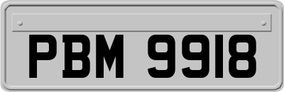 PBM9918