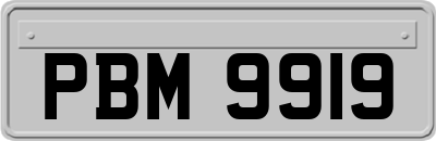 PBM9919