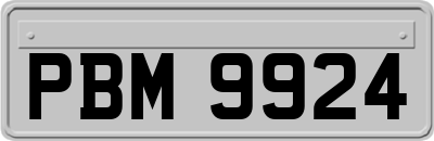 PBM9924