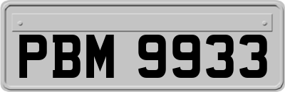 PBM9933