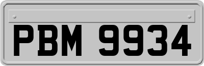 PBM9934