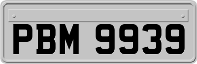 PBM9939