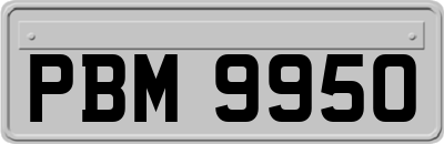 PBM9950