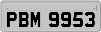 PBM9953