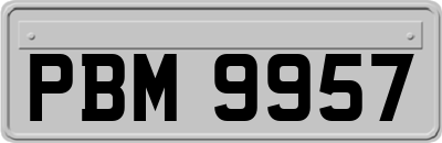 PBM9957