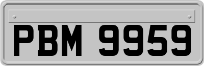 PBM9959