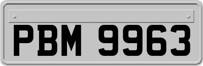 PBM9963