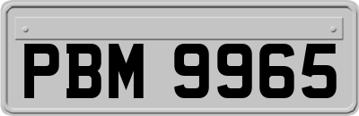 PBM9965