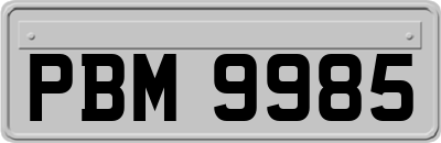 PBM9985