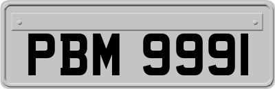 PBM9991