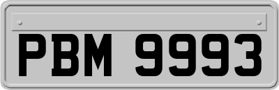 PBM9993