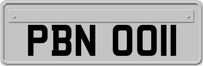 PBN0011