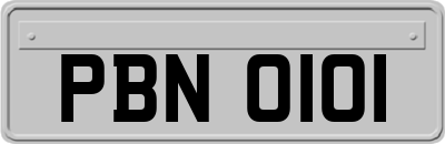 PBN0101